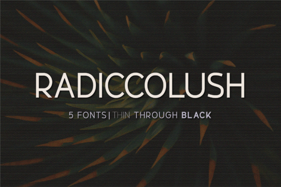 Radiccolush: A Creative Font for Digital Campaigns